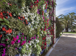 Отель Pomegranate Wellness Spa