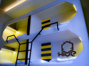 The Hive Party Hostel