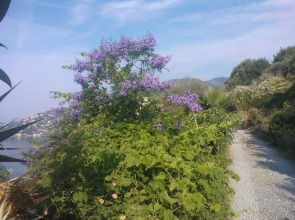 Romantic Casa Lorenzina Affittacamere