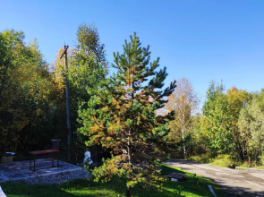 Отель Лесная застава