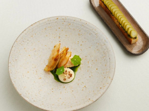 Tomtom Suites - Special Class