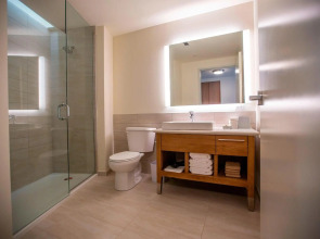 Element Detroit at the Metropolitan