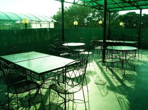 Treebo Paras International