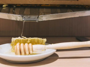 Casa per Ferie Domus Helena