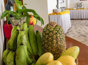 Quo Vadis Dive Resort Moalboal