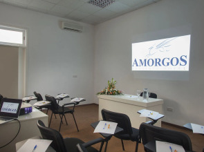 Amorgos Boutique Hotel