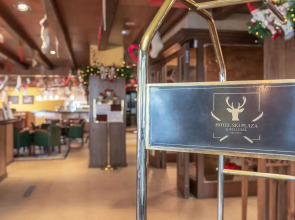 Ski Plaza Hotel & Wellness