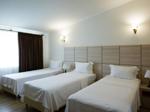 Отель «Греми»