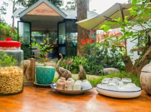 Stop and Go Boutique Hotel Since 1982