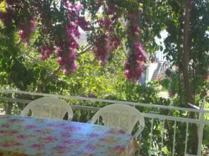 Guest House Magnolia