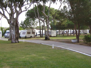 Camping 3 Estrellas