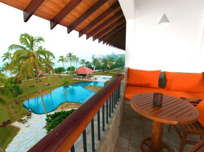 Hikka Tranz by Cinnamon