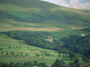 Dollar Apartments at 41