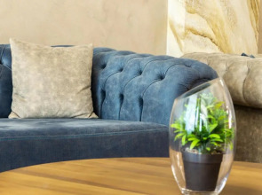 City Avenue Hotel by HMG