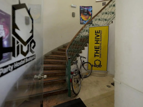 The Hive Party Hostel
