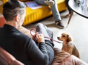 The Social Hub Rotterdam