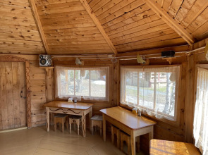 Золотая рыбка