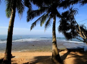 Time N Tide Beach Resort