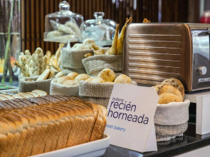 NH Mendoza Cordillera