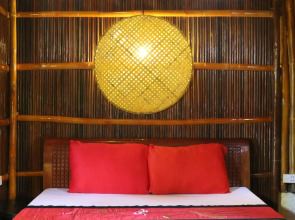 Under the coconut tree - Hostel