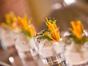 Imperial Riding School, Autograph Collection