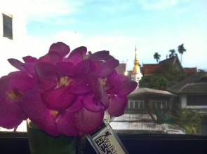 Walking Street Residence