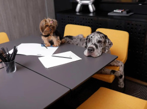 Link hotel & Hub By Dan Hotels