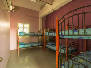Joyfor Backpackers Hostel