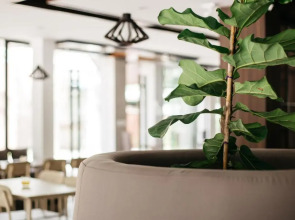 Diamond Park Inn Chiang Rai Resort