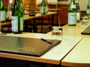 Hôtel Mercure Lyon Centre Plaza République