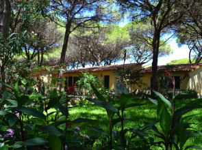 10 Ala Birdi Cottage 150m From The Beach