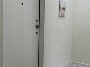 Апартаменты на улице Добролюбова 1