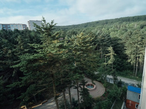 Серебряный бор (Сахалин)