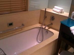 ITC Maurya, a Luxury Collection Hotel, New Delhi