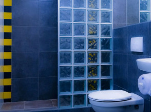 The Hive Party Hostel