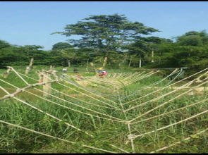 Tamsabai Resort Chumphon