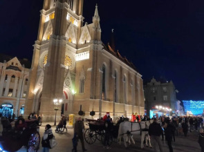 Selection Apartments & Rooms