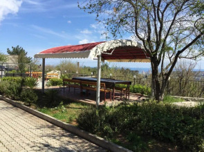 Villa Diana Mini Hotel