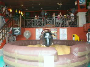 Buffalo Bill Hotel Koh Chang