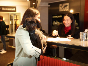 Best Western Hotel Windorf