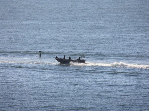 Moonglow Guest House