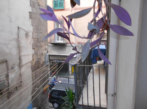 Robbys House Bed & Breakfast