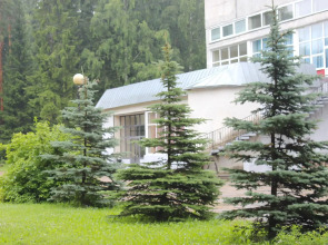 База отдыха Пушкиногорье