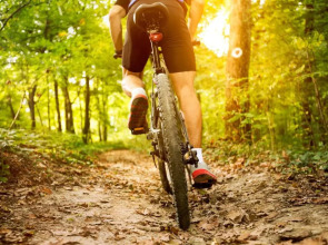 Das Gutenbrunn Thermen & Sporthotel