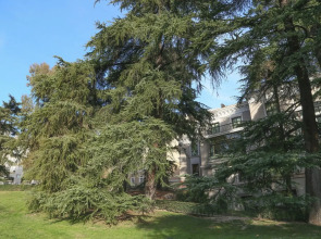 Hostels Meetingpoint