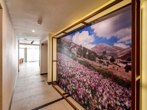 Arawi Miraflores Express