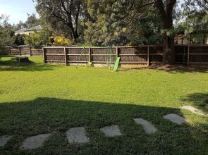 53 Honeysuckle in Silverleaves