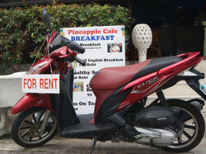 Pineapple Guesthouse