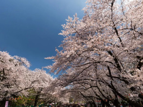 Hotel Villa Fontaine Tokyo - Nihombashi Hakozaki