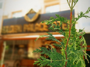 Mi̇raç Golden Palace Otel